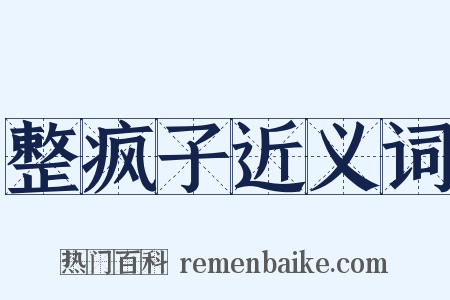 整疯子近义词是什么意思的图片